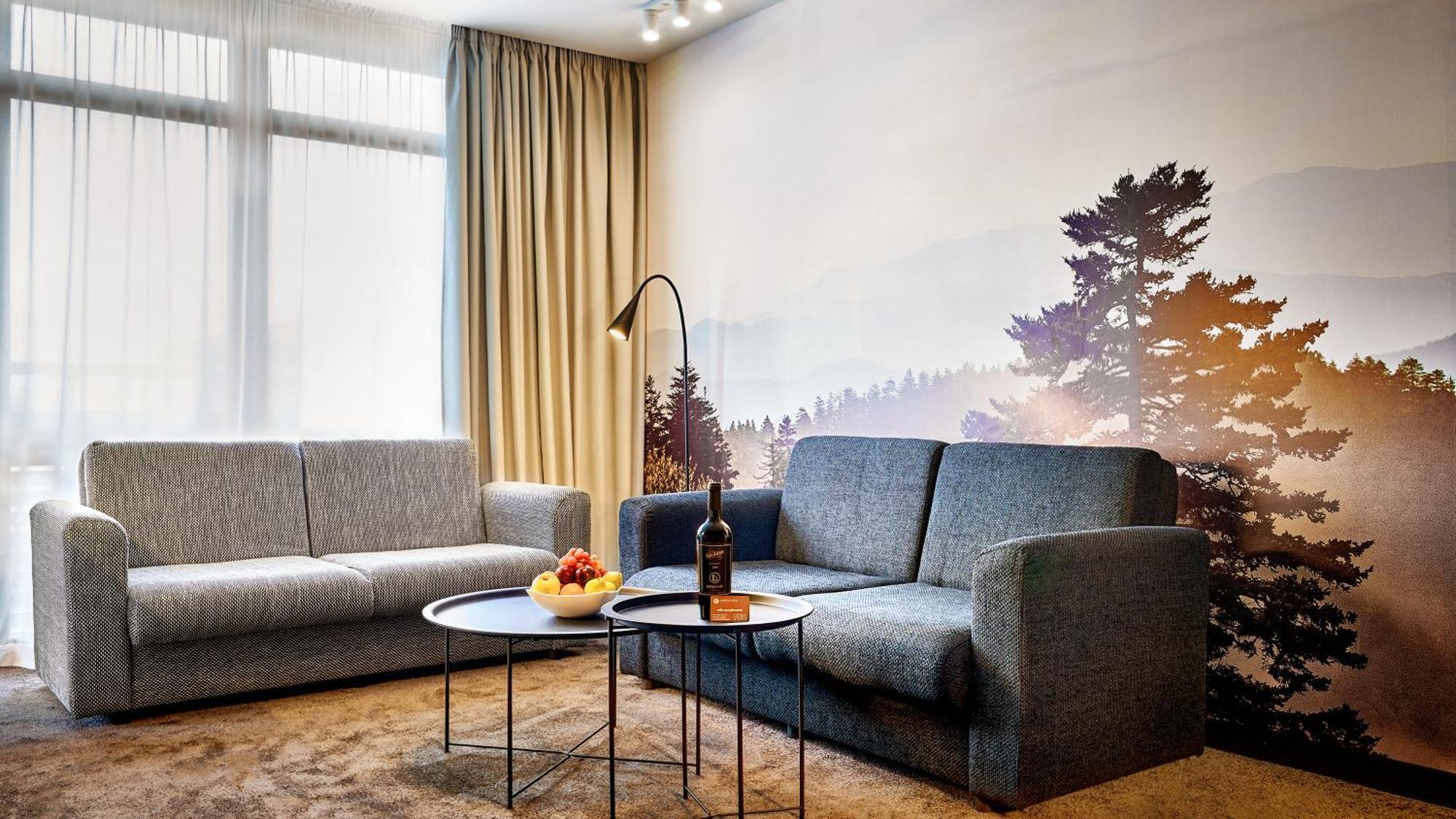 幸运班斯科公寓式酒店Spa及休闲 外观 照片 A living room in a hotel