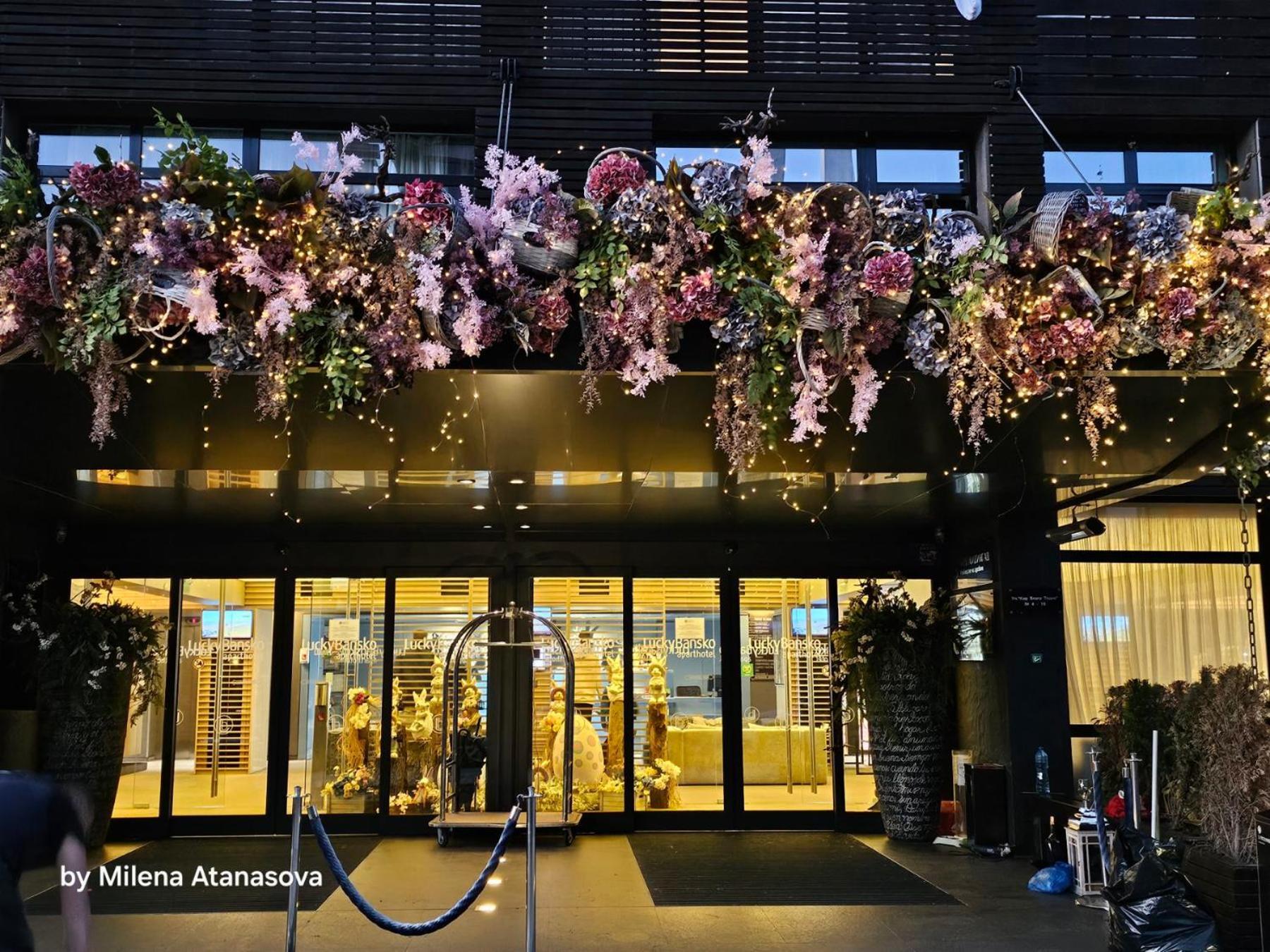 幸运班斯科公寓式酒店Spa及休闲 外观 照片 Entrance of the hotel