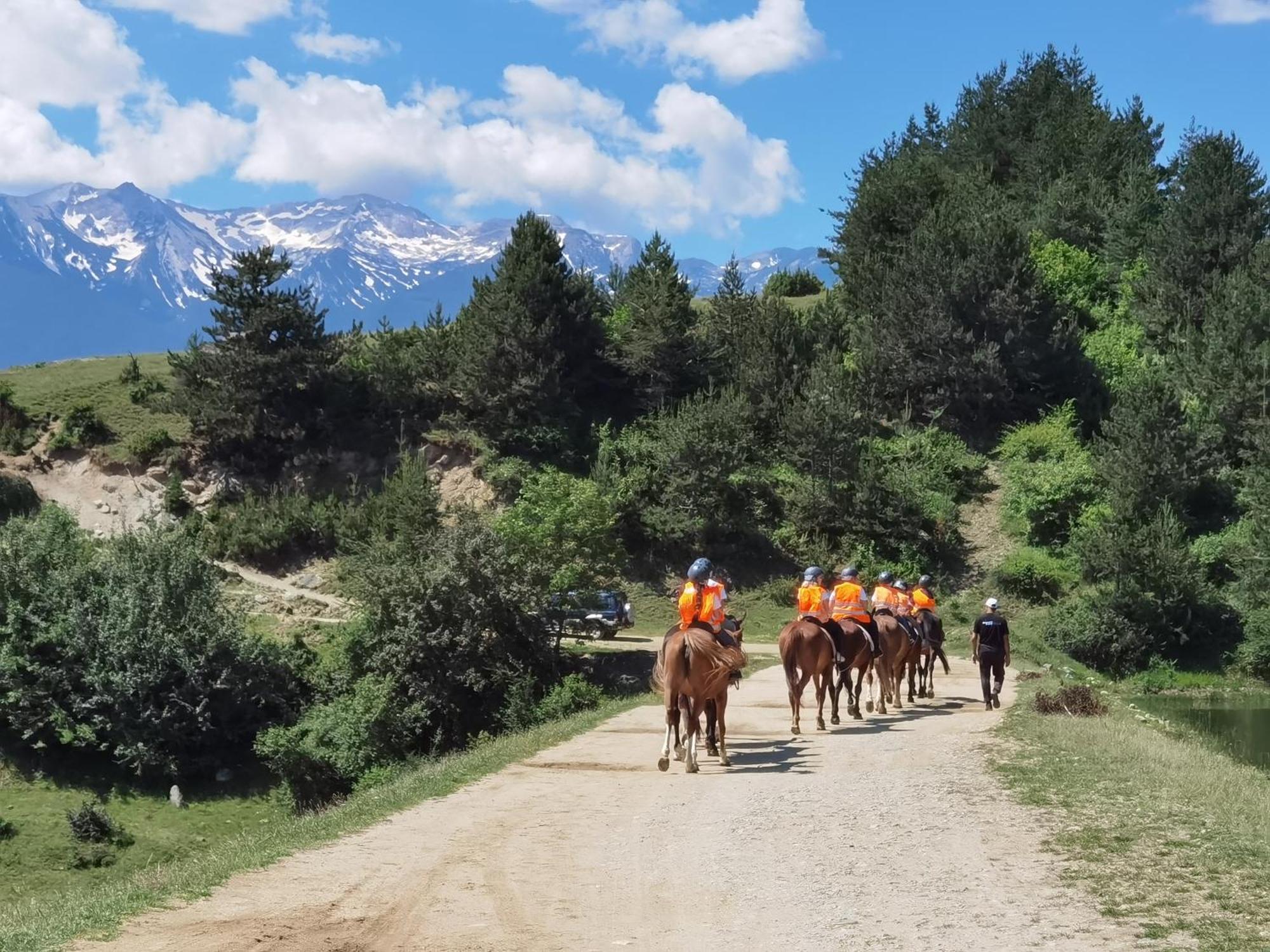 幸运班斯科公寓式酒店Spa及休闲 外观 照片 Horse riding in the park